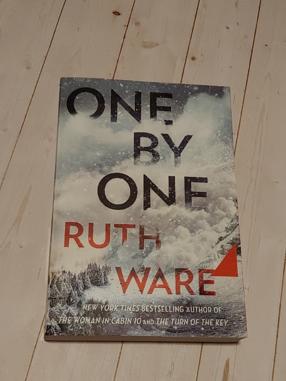One By One Adult Thriller Novel Fiction Book By Ruth Ware